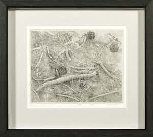 Charles Donker - Ets, Bosgrond met dennenappels en houtjes - Ingelijst verkocht voor € 200!