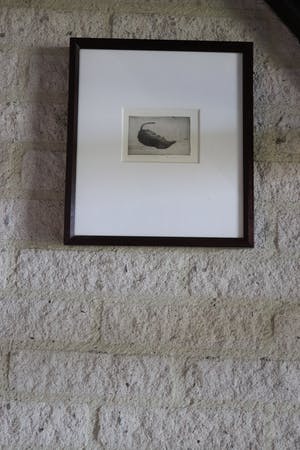 Anneke van Brussel - Spitsmuisje kopen? Bied vanaf 25!