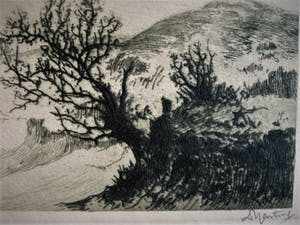 Dirk Harting - Meesterlijk Etser - Willink van Collenprijs 1913 - "Duinlandschap omstreeks 1920 kopen? Bied vanaf 10!