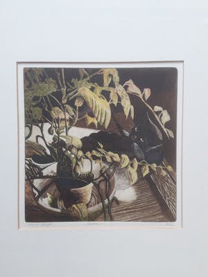 Ton de Kruyk - "de poes" . kopen? Bied vanaf 60!