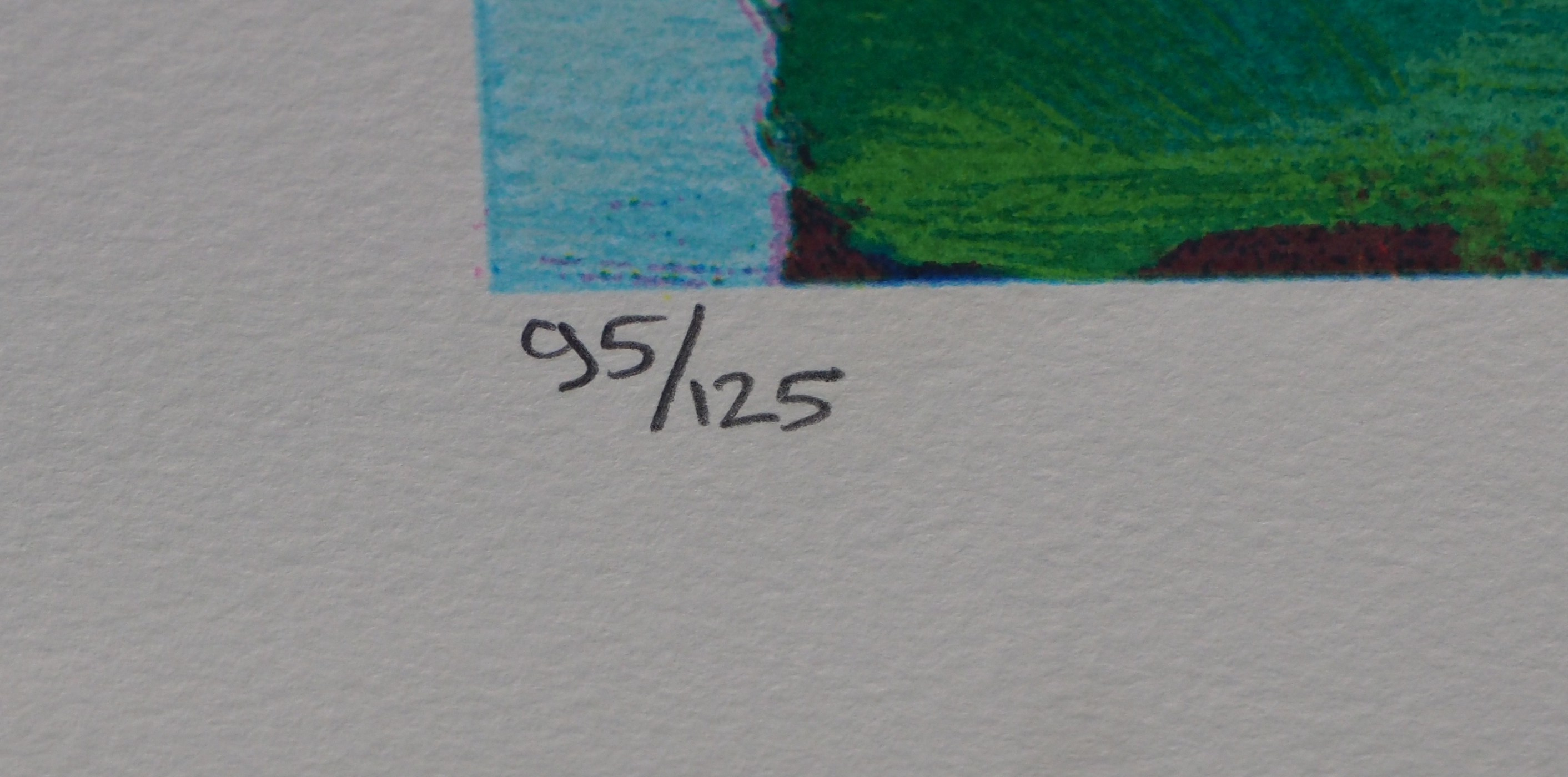 Jentsje Popma - Bollenveld kopen? Bied vanaf 50!