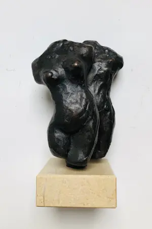 AcheterBrons (Onbekend) - Torso Man / Vrouw - Beeld Brons? Enchérissez de 99!