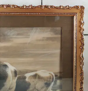 Frederik Jbzn Engel - Koeien kopen? Bied vanaf 200!