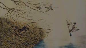 Leon Danchin - Jachttafereel kopen? Bied vanaf 45!