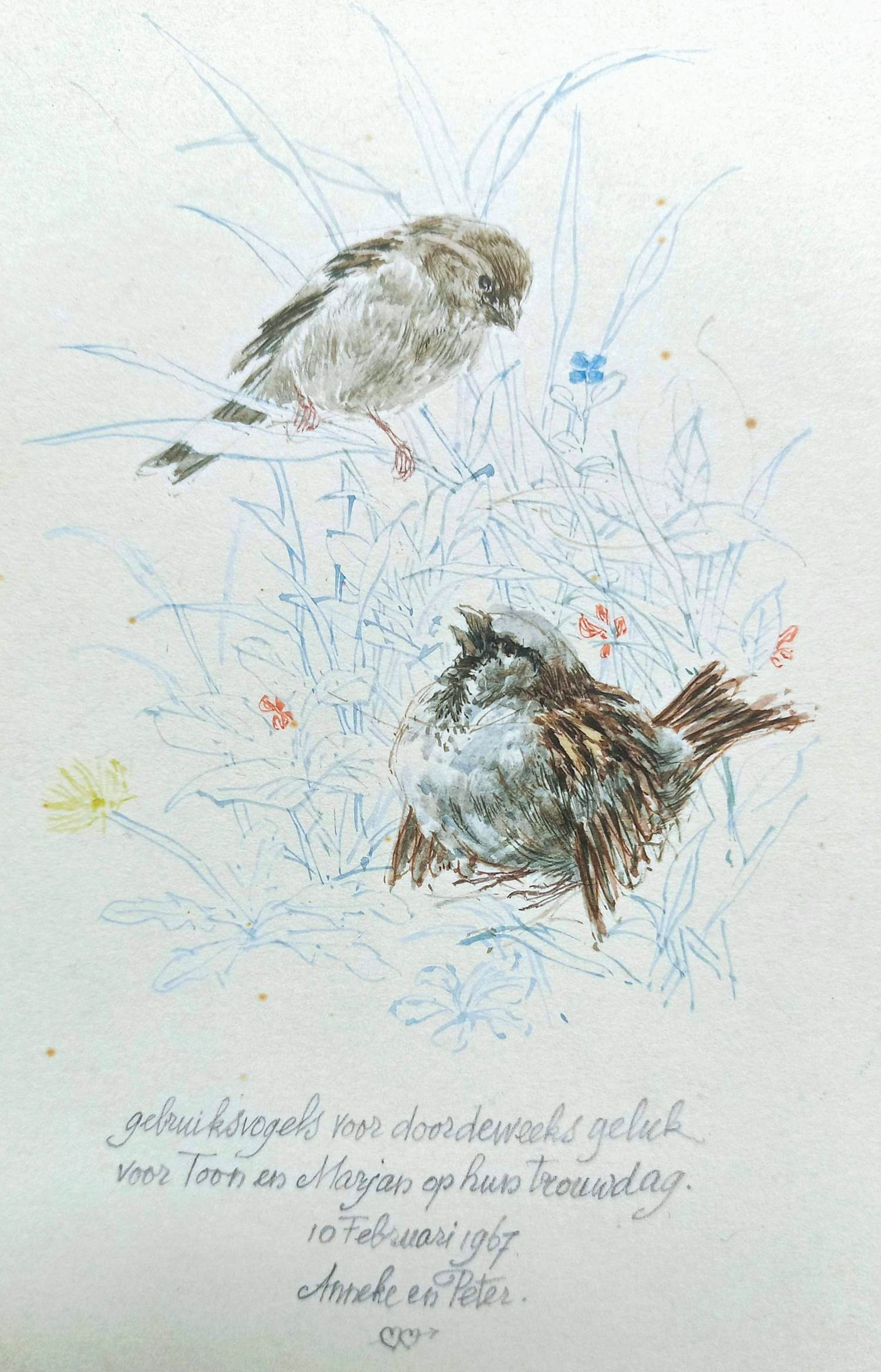 Peter Vos - Gebruiksvogels voor doordeweeks geluk, tekening / aquarel kopen? Bied vanaf 375!
