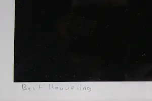 Bert Houweling - Roos 43 kopen? Bied vanaf 15!