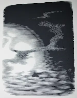 Dirk van Gelder - De Scheppingsdagen, 17 houtgravures 1950 plus Kerstgroet in houtgravure kopen? Bied vanaf 40!