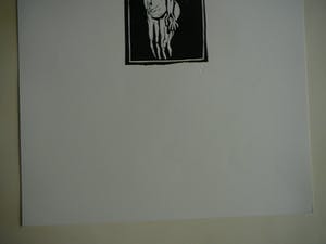 Aad de Haas - Studie kopen? Bied vanaf 45!