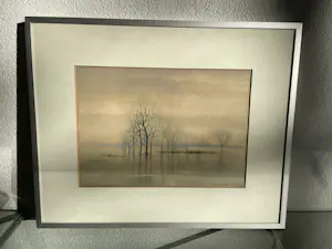 Sjoerdtje Mulder-Hak - Bomen in de uiterwaarden kopen? Bied vanaf 75!