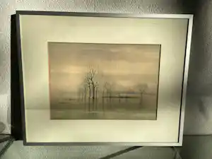 Sjoerdtje Mulder-Hak - Bomen in de uiterwaarden vendu pour 160€ !
