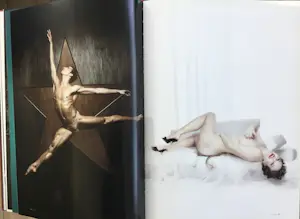 Erwin Olaf - Silver kopen? Bied vanaf 125!