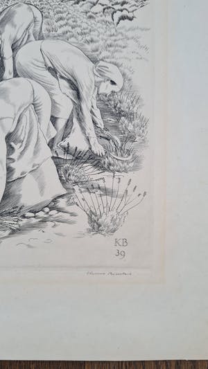 Kuno Brinks - Lavendelpluksters kopen? Bied vanaf 150!