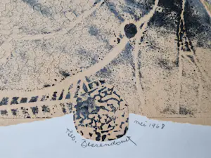 Theo Beerendonk - 1968 - gemengde techniek (papier, lino, gouache, visnet) "Naakt in rood" kopen? Bied vanaf 148!