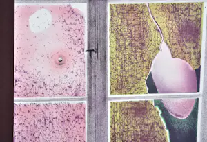 Pol Mara - Peeping out - Lithografie kopen? Bied vanaf 100!