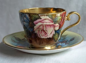 Curiosa - Bloementheekopje + schoteltje - Aynsley China Ltd. , ontwerp J.A. Bailey kopen? Bied vanaf 1!