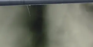 Hans van Ommeren - Fotografie op dibond, Bomen en licht kopen? Bied vanaf 50!