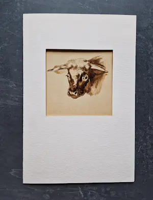 A. van der Brugghen - 19e eeuwse Aquarel (stiertje) en 2 tekeningen (vechtende)Herten - monogram kopen? Bied vanaf 68!