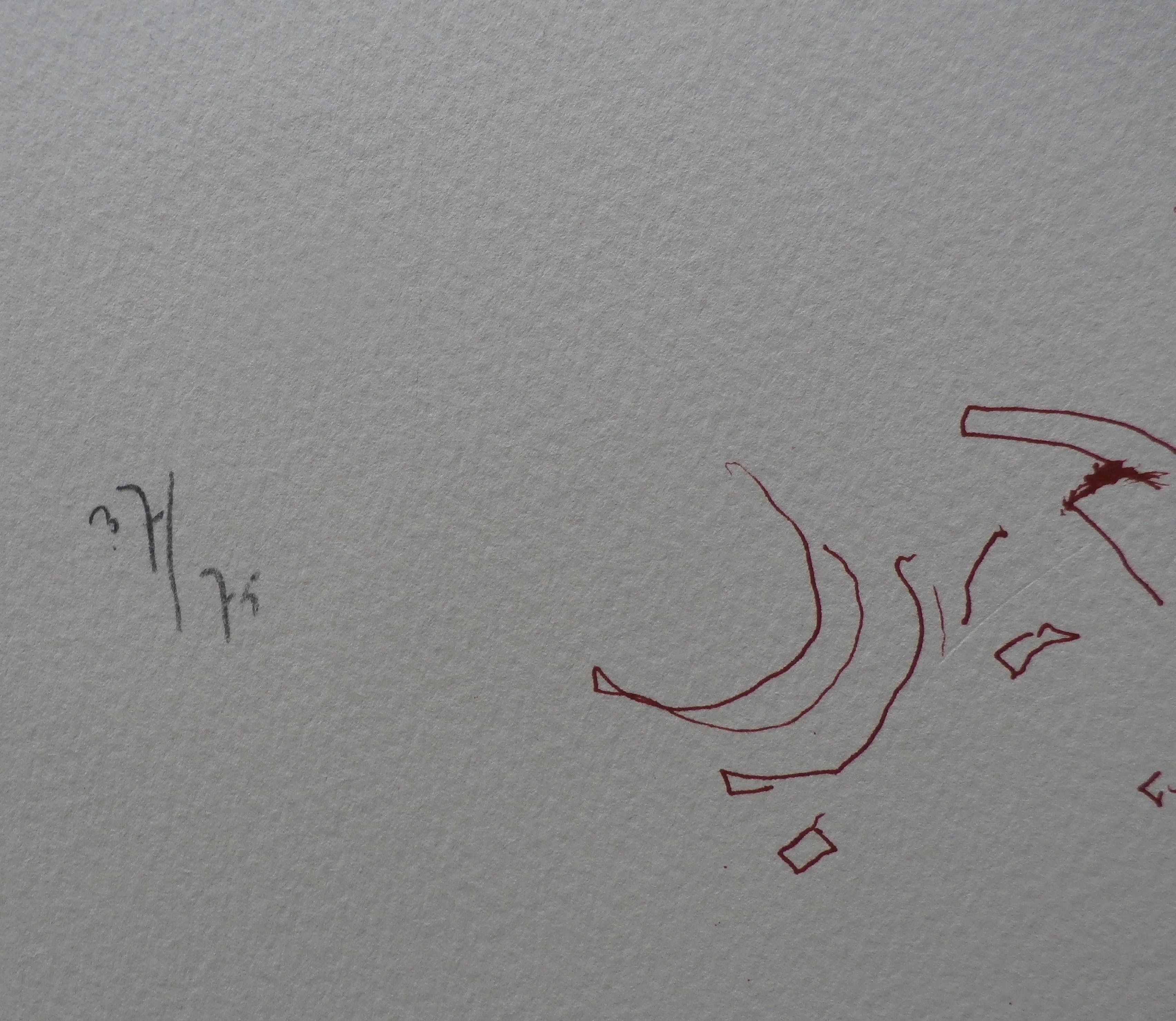 Sam Drukker - litho: buikdanseres - 1993 kopen? Bied vanaf 135!