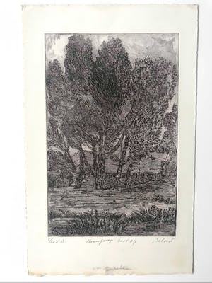 Gerard Bellaart - Boomgroep (ets, kleine oplage / 70's) kopen? Bied vanaf 1!