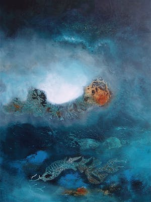 Jan Jippe van Herrikhuijzen - Aquarium kopen? Bied vanaf 425!