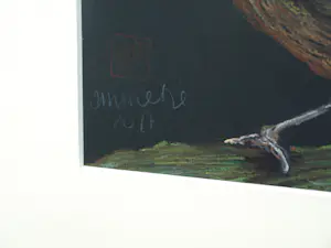 Niet of onleesbaar gesigneerd - Ingelijste pastel , Vogel op tak – gesigneerd – 2017 - Lijst, 41 x 41 cm. kopen? Bied vanaf 1!