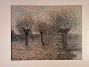 Theo Goedvriend - Knotwilgen in het landschap kopen? Bied vanaf 75!