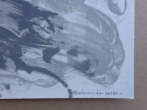 Jef Diederen - ABSTRACTIE / KLEURLITHO / 75x56cm / SIG / 1993 kopen? Bied vanaf 35!