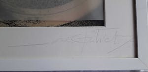 Inez Fritschy - Beethoven first movement opus 69 A kopen? Bied vanaf 75!