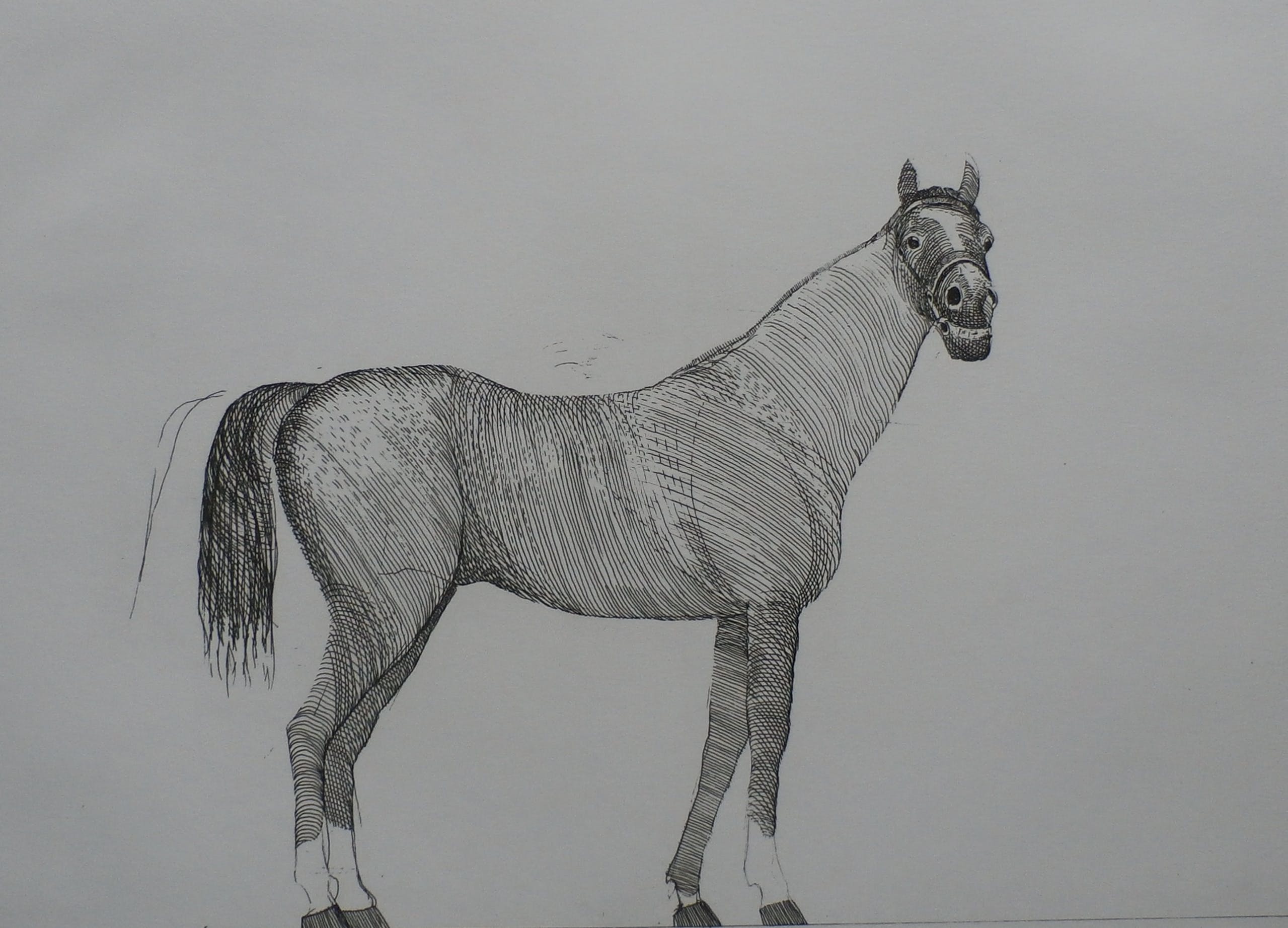 Aat Verhoog - paard - 1971 verkocht voor € 50!