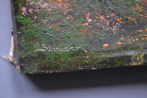 Niet of onleesbaar gesigneerd - Boslandschap met rivier - Begin 20ste eeuw - Gesigneerd kopen? Bied vanaf 1!