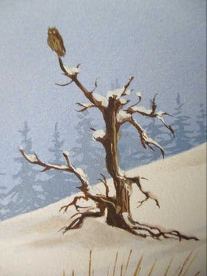 Ari Stolk - Uil op tak en kramsvogels in winterlandschap kopen? Bied vanaf 65!