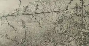 Reinder Homan - Landschap vendu pour 85€ !
