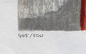 Casper Faassen - 'Leonardo' - Fraai ingelijst kopen? Bied vanaf 120!