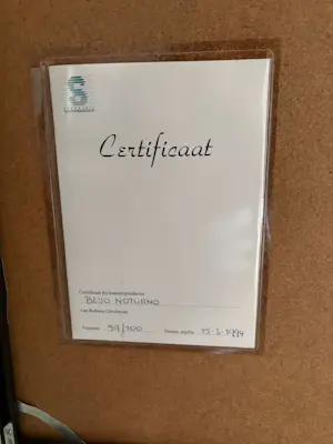 Rubens Gerchman - Beijo Noturno kopen? Bied vanaf 2500!