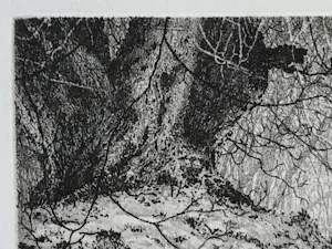 Reinder Homan - Wilgenbos kopen? Bied vanaf 50!