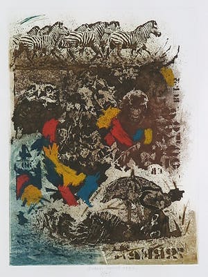 Simon Koene - Kleurenets, Wild life VII - Ingelijst kopen? Bied vanaf 1!