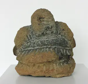 Colleen Madamombe - Afrikaans zeepstenen beeld van vrouw, Zonder titel kopen? Bied vanaf 150!