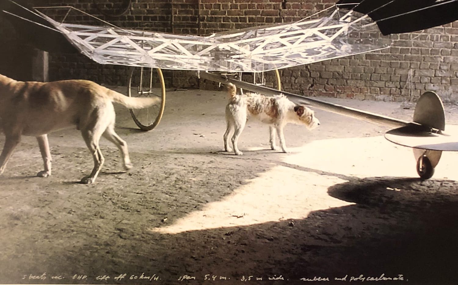 Buy Panamarenko - Raven's variable matrix - Originele poster? Bid from 75!