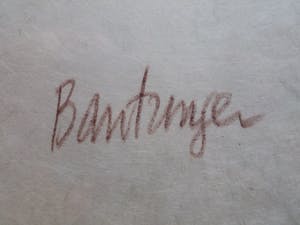 Cees Bantzinger - Naakt in krijt - groot formaat! kopen? Bied vanaf 125!