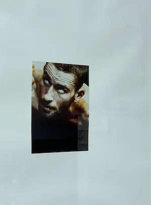 Jan Fabre - C-Print - Cedric's Extase - 2001 - 88/100 - Gesigneerd kopen? Bied vanaf 375!