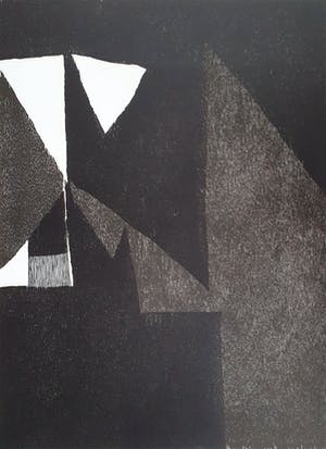 Guillaume Le Roy - Houtsnede 1985 (groot) kopen? Bied vanaf 65!