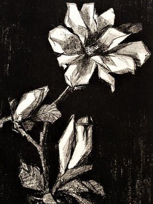 Herman Kruyder - Grote Houtsnede - Stilleven "Rozen takken" - gesigneerd in blok kopen? Bied vanaf 20!