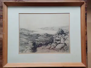 Jan Coenraad Nachenius - Kust landschap kopen? Bied vanaf 20!