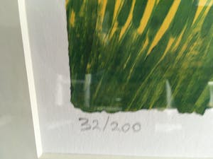 Corneille - Duo Kleurrijke Corneilles kopen? Bied vanaf 385!