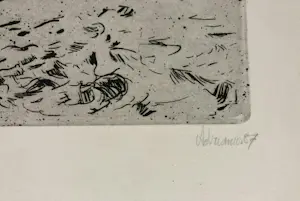 Adri Dijkhorst - Noord Spaanse kust kopen? Bied vanaf 50!