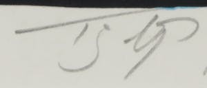 Tjebbe Beekman - Zeefdruk, Sweet little bullet - Ingelijst (Groot) kopen? Bied vanaf 60!