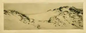 Dirk Harting - Duinen kopen? Bied vanaf 20!