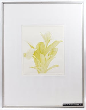 Marijke Fast - Moederbloem VI kopen? Bied vanaf 10!