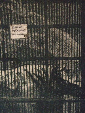 Niet of onleesbaar gesigneerd - Dierentuin kopen? Bied vanaf 1!