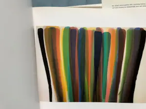 Morris Louis - in The Museum of Modern Art New York kopen? Bied vanaf 32!